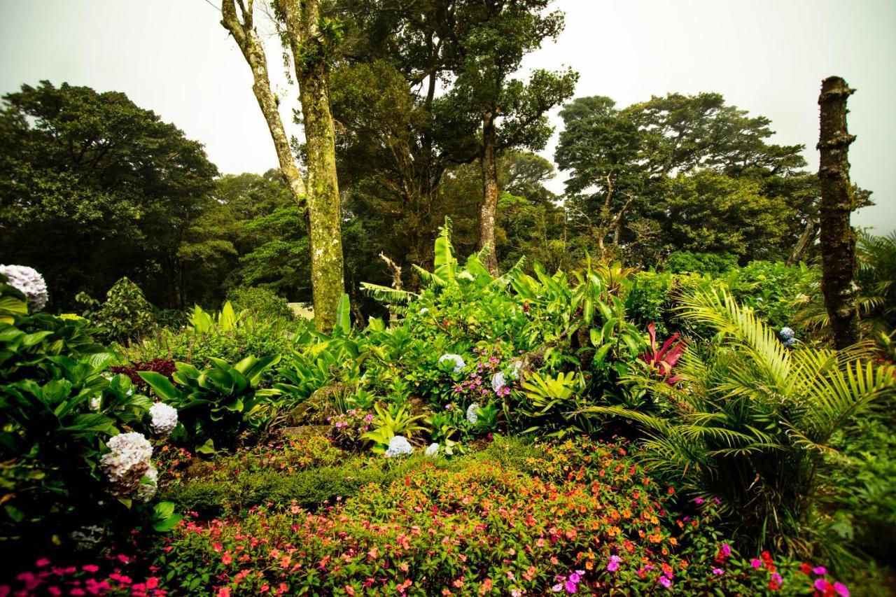 Trapp Family Lodge Monteverde Zewnętrze zdjęcie